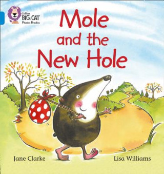Könyv Mole and the New Hole Jane Clarke