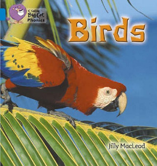 Knjiga Birds Jilly McLeod