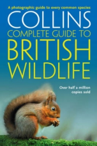 Könyv British Wildlife Sterry