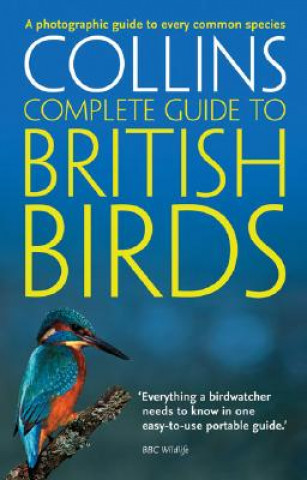 Carte British Birds Sterry
