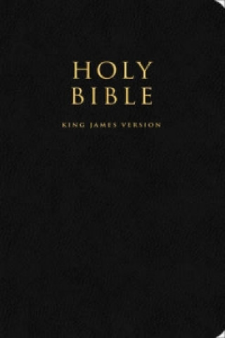 Carte Holy Bible 