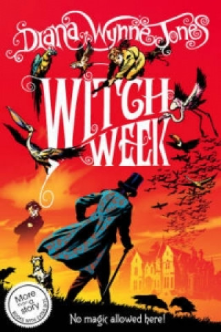 Knjiga Witch Week Diana Wynne Jones