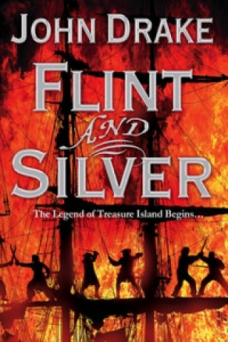 Kniha Flint and Silver John Drake