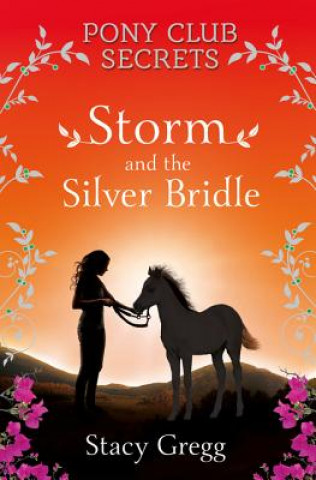 Kniha Storm and the Silver Bridle Stacy Gregg