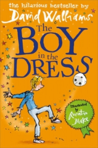 Könyv Boy in the Dress David Walliams