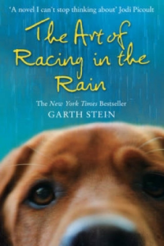 Книга Art of Racing in the Rain Garth Stein
