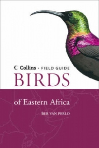 Kniha Birds of Eastern Africa Ber VanPerlo
