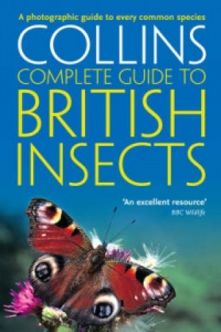 Kniha British Insects Michael Chinery