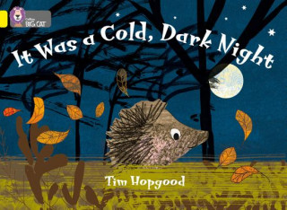 Kniha It Was a Cold Dark Night Tim Hopgood