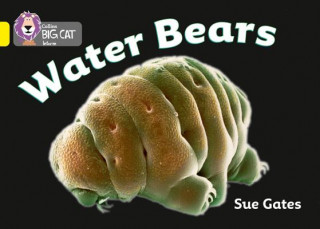 Carte Water Bears Susan Gates