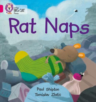 Libro Rat Naps Paul Shipton