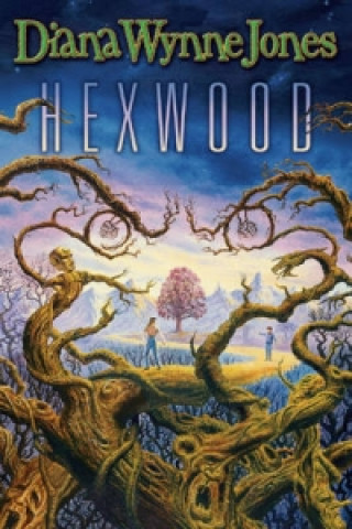 Książka Hexwood Diana Wynne Jones