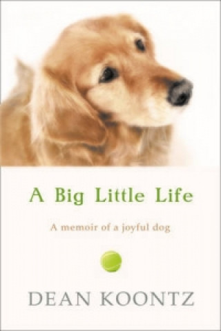 Książka Big Little Life Dean Koontz