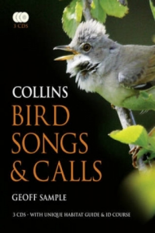 Kniha Collins Bird Songs and Calls Geoff Sample