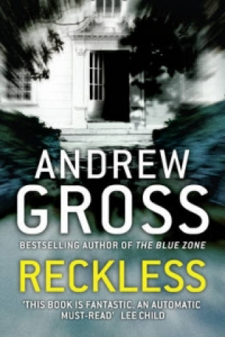 Kniha Reckless Andrew Gross