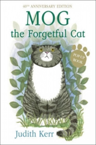 Kniha Mog the Forgetful Cat Pop-Up Judith Kerr