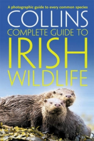 Knjiga Collins Complete Irish Wildlife Paul Sterry