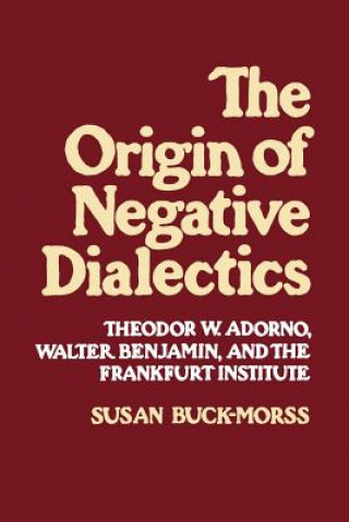 Книга Origin of Negative Dialectics Susan Buck-Morss