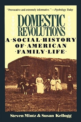 Kniha Domestic Revolutions Steven Mintz