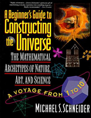 Kniha Beginner's Guide to Constructing the Universe Michael S Schneider