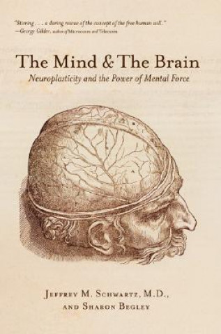 Könyv Mind and the Brain Jeffrey M Schartz