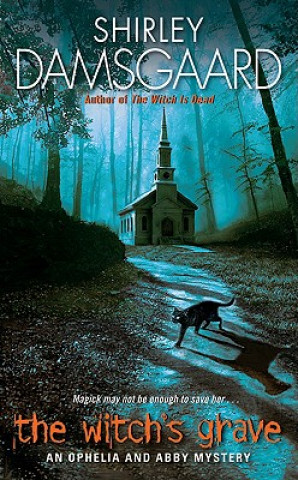 Könyv Witch's Grave Shirley Damsgaard