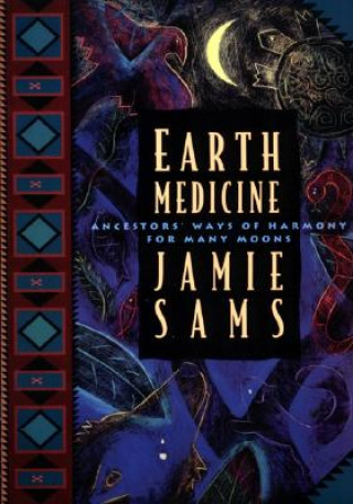 Kniha Earth Medicine Jamie Sams