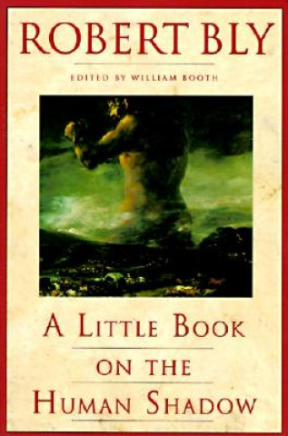 Kniha Little Book on the Human Shadow Robert Bly
