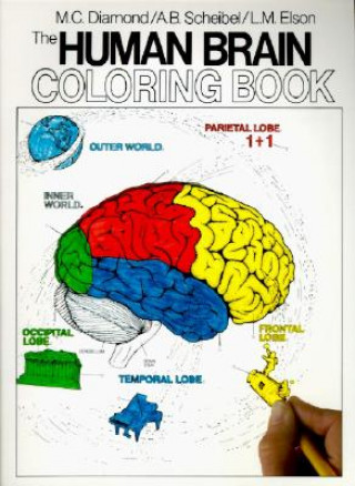 Knjiga Human Brain Coloring Book Marian C Diamond