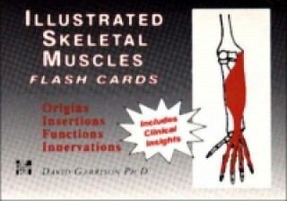 Könyv Illustrated Skeletal Muscle Flash Cards Garrison