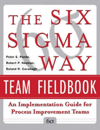 Kniha Six Sigma Way Team Fieldbook: An Implementation Guide for Process Improvement Teams Peter S Pande