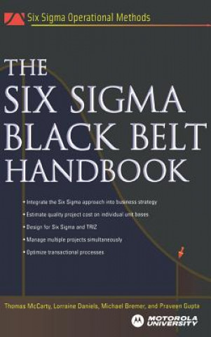 Könyv Six Sigma Black Belt Handbook Thomas McCarty