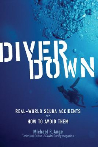 Kniha Diver Down Michael R Ange