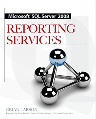Kniha Microsoft SQL Server 2008 Reporting Services Brian Larson