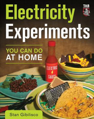 Book Electricity Experiments You Can Do At Home Stan Gibilisco