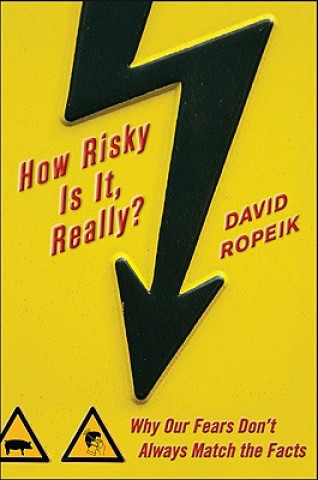 Kniha How Risky Is It, Really? David Ropeik