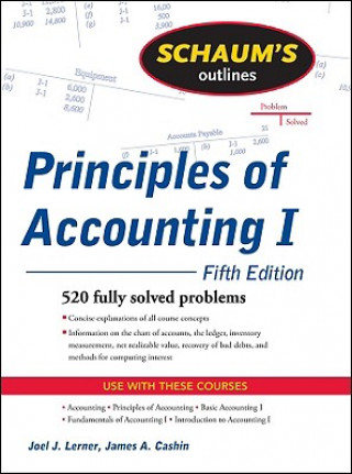 Kniha Schaum's Outline of Principles of Accounting I, Fifth Edition Joel Lerner