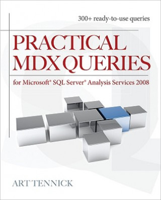Kniha Practical MDX Queries: For Microsoft SQL Server Analysis Services 2008 Art Tennick