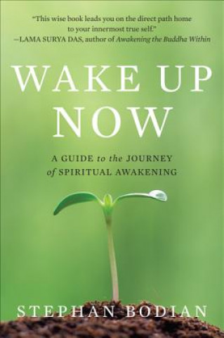 Libro Wake Up Now Stephen Bodian