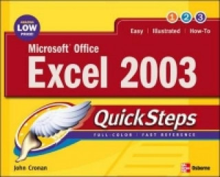 Kniha Microsoft Office Excel 2003 QuickSteps Martin Matthews