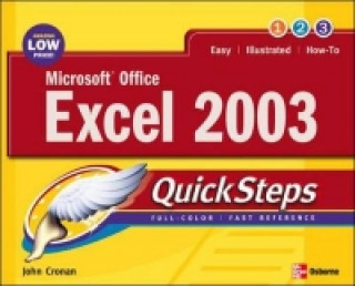 Książka Microsoft Office Excel 2003 QuickSteps Martin Matthews