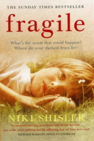 Knjiga Fragile Niki Shisler