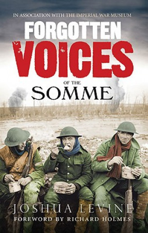 Knjiga Forgotten Voices of the Somme Joshua Levine