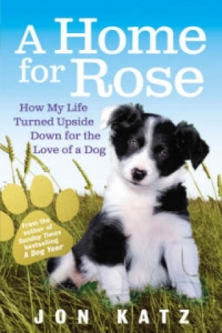 Kniha Home for Rose Jon Katz