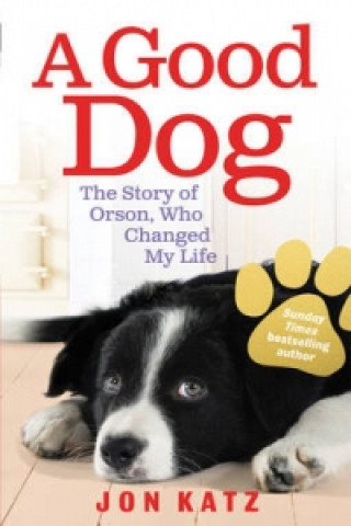 Könyv Good Dog Jon Katz