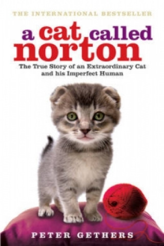 Kniha Cat Called Norton Peter Gethers