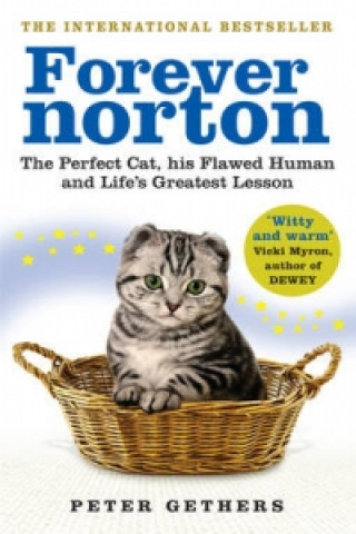 Livre Forever Norton Peter Gethers