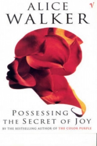 Kniha Possessing The Secret Of Joy Alice Walker