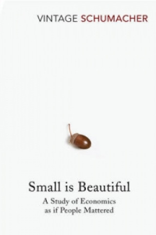 Kniha Small Is Beautiful E. F. Schumacher