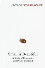 Könyv Small Is Beautiful E. F. Schumacher